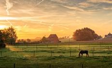 Herfstwandelingen