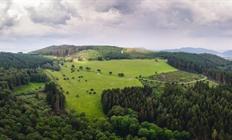 Sauerland