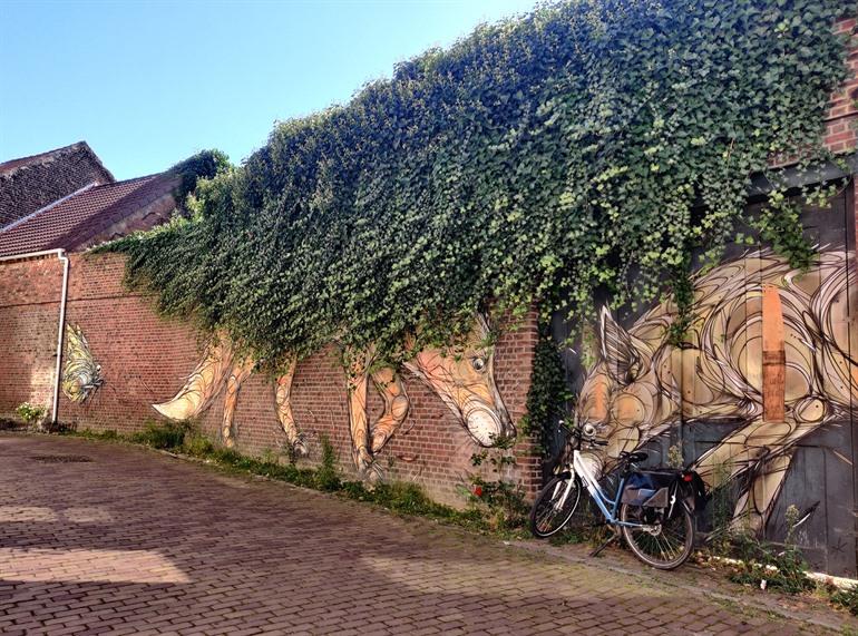 A tale of two foxes door Dzia, street-art tour door Kessel-Lo