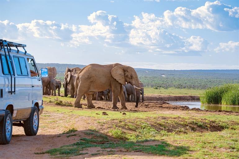 Addo Elephant Park