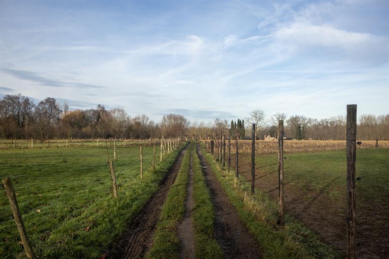 Affligem Kluiswandeling