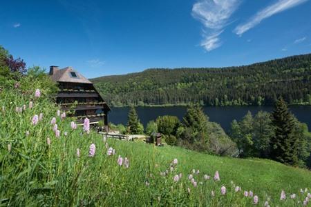 Alemannenhof - Boutique Hotel am Titisee boeken