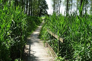 Alken fietsroute