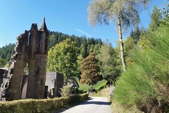 Allerheiligen bronnen wandeling, Zwarte Woud