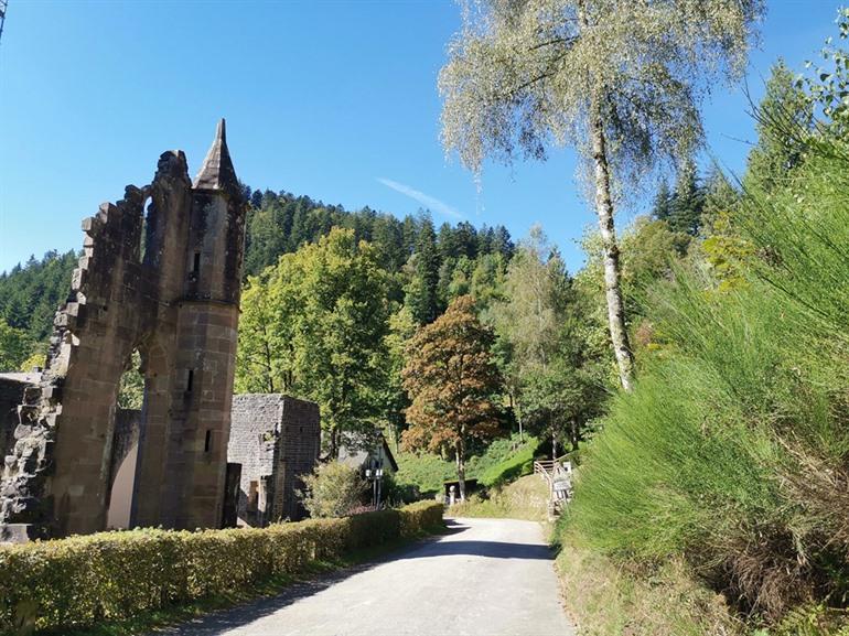 Allerheiligen bronnen wandeling, Zwarte Woud