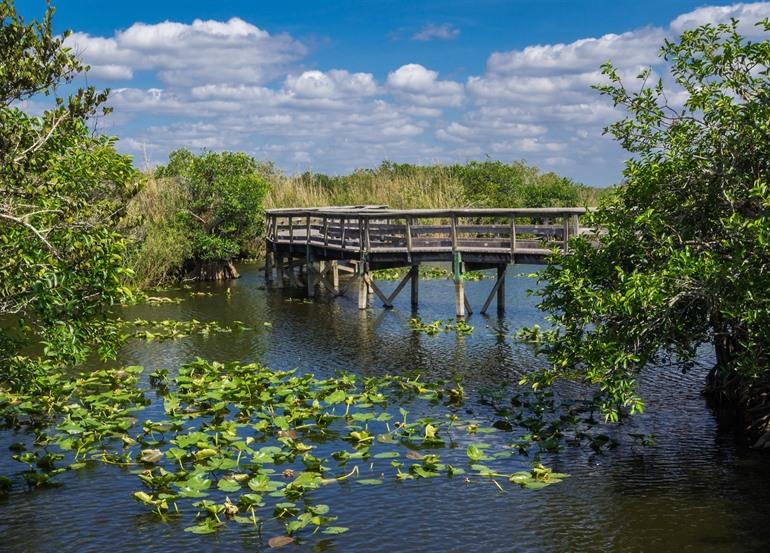 Anhinga Trail - Royal Palm Visitor Center