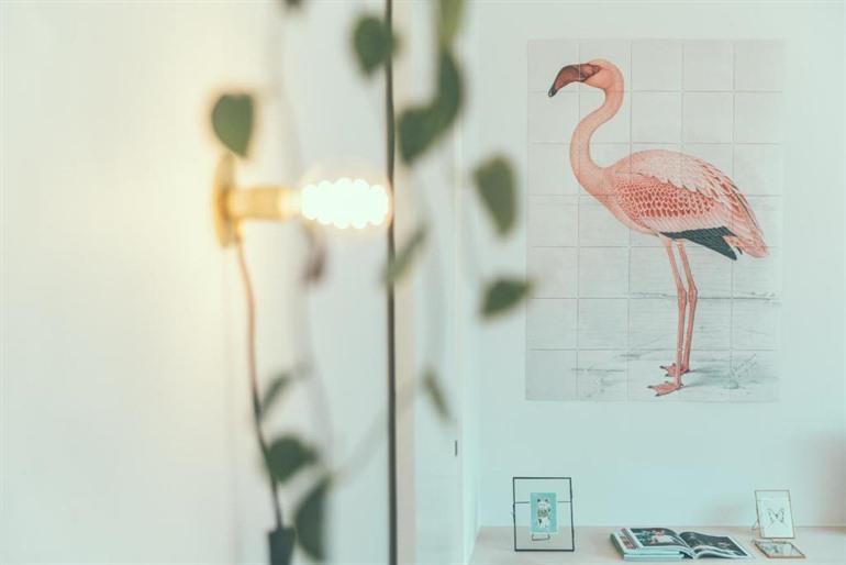 AP8 appartementen in Aalst