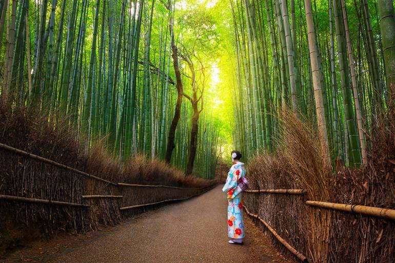 Arashiyama bamboebos