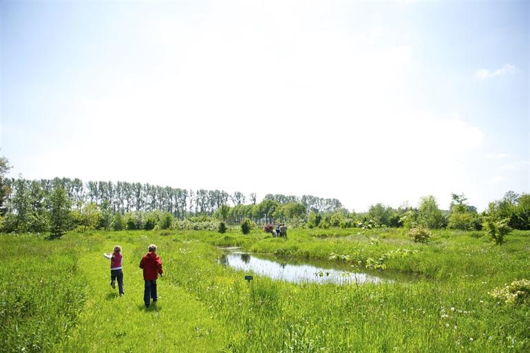 Arboretum van Puurs, Scheldeland