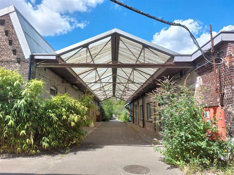 Asiatsite in Vilvoorde, Vlaams-Brabant