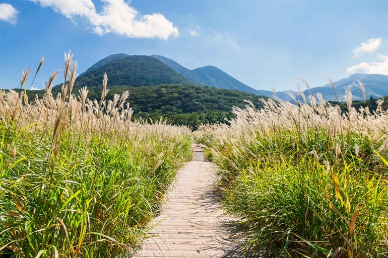 Aso Kujo nationaal park in Kyushu