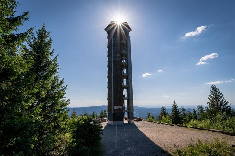 Ausblick Buchkopfturm in het Zwarte Woud