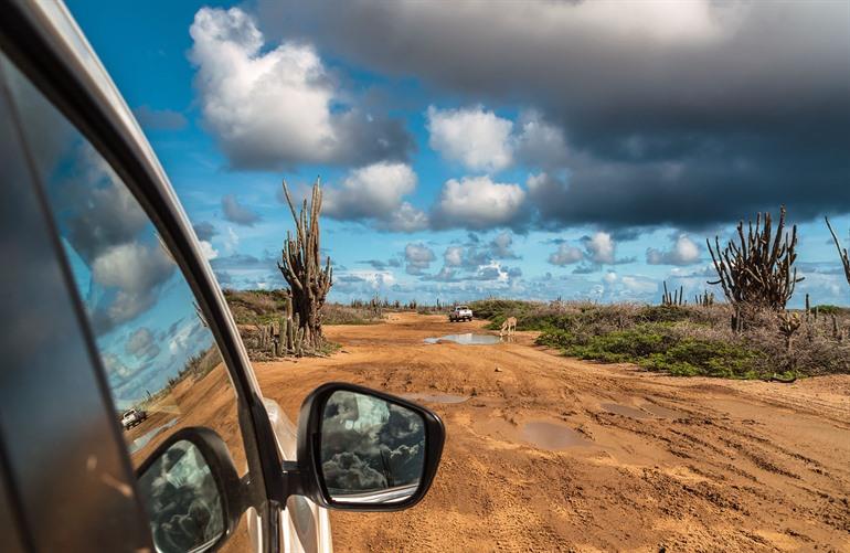 Auto rijden in het Washington Slagbaai National Park, Bonaire