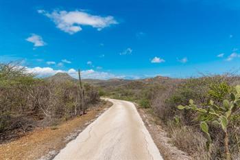 Autowegen in het Christoffelpark in Curaçao