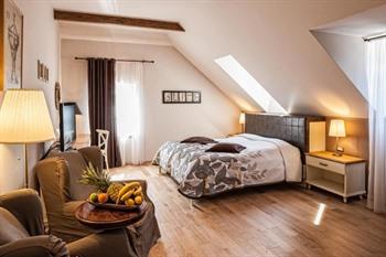 B&B Dvor Tacen boeken