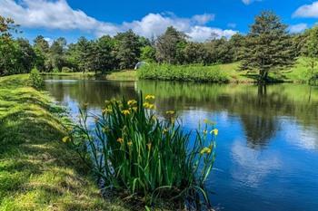 B&B La Forge de Montolieu boeken