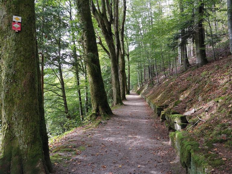 Bad Griesbach panoramawandeling