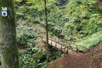 Bad Griesbach Teufelskanzelsteig wandeling