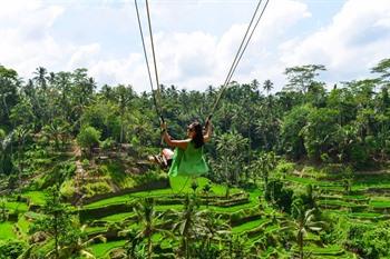 Bali swing