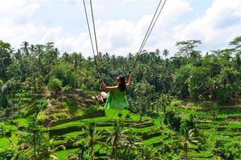 Bali swing