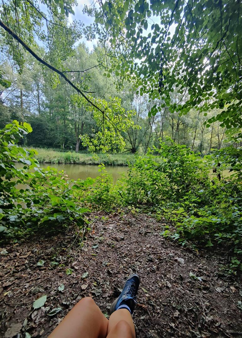 Bankje langs de Dender, Wellemeersen