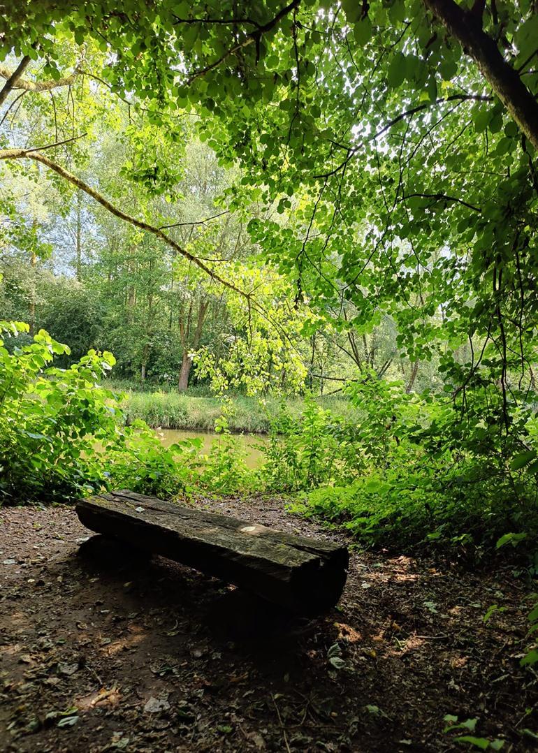 Bankje langs de Dender, Wellemeersen