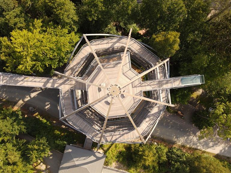 Baumwipfelpfad Harz bij Bad Harzburg, Harz