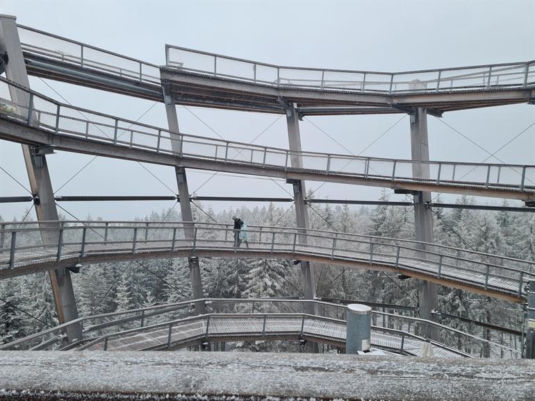 Baumwipfelpfad in het Zwarte Woud