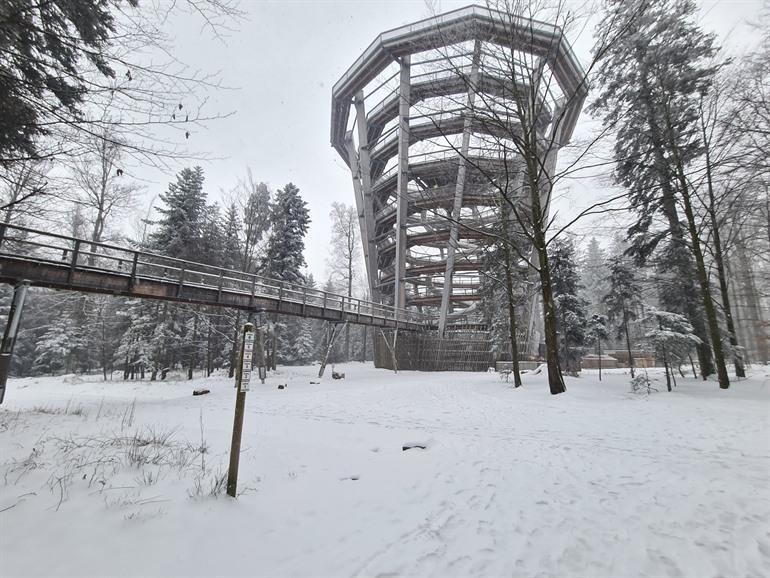 Baumwipfelpfad in het Zwarte Woud