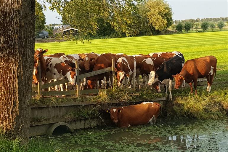 Beemster poldergebied