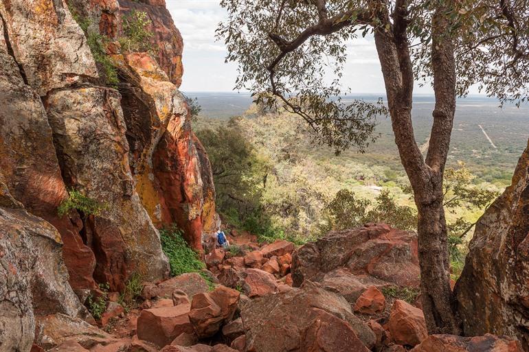 Begeleide wandeling naar de top van de Waterberg