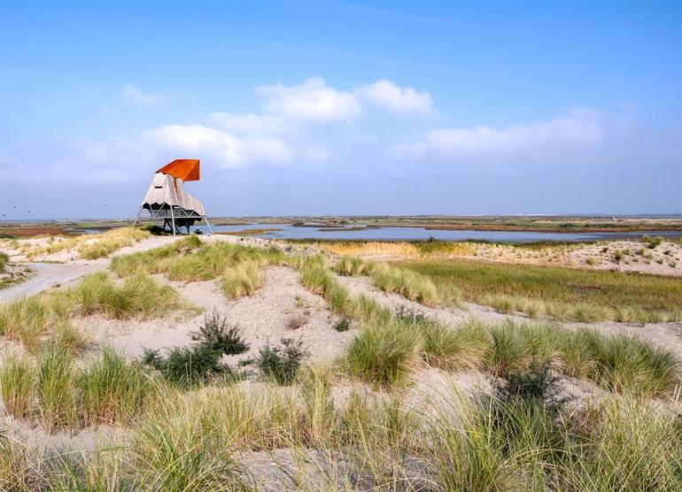 Beklim de uitkijktoren Steltloper, Marker Wadden