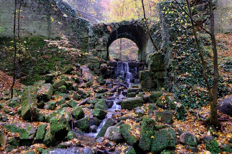 Berentuin in Hohnstein