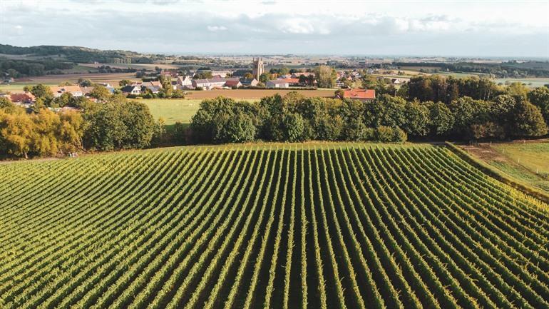 Bezienswaardigheden en activiteiten Heuvelland