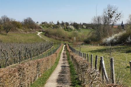 Bezienswaardigheden Haspengouw