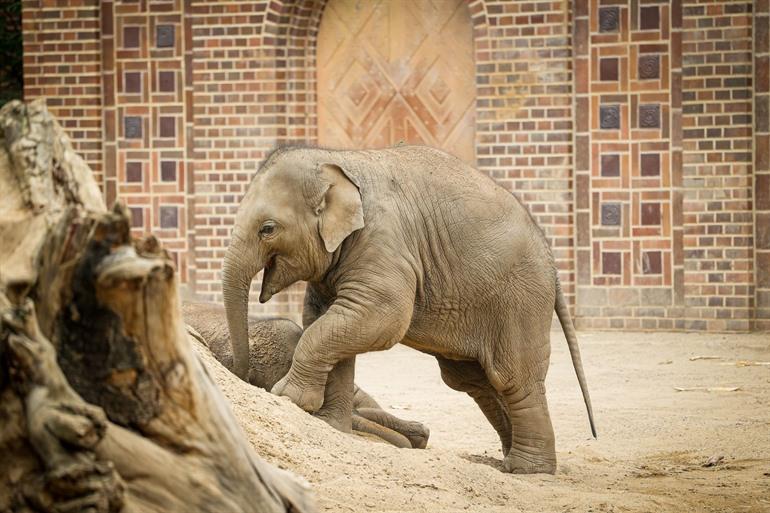 Bezoek de Leipzig Zoo