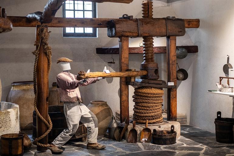 Bezoek het Museo dell’Olivo, Imperia