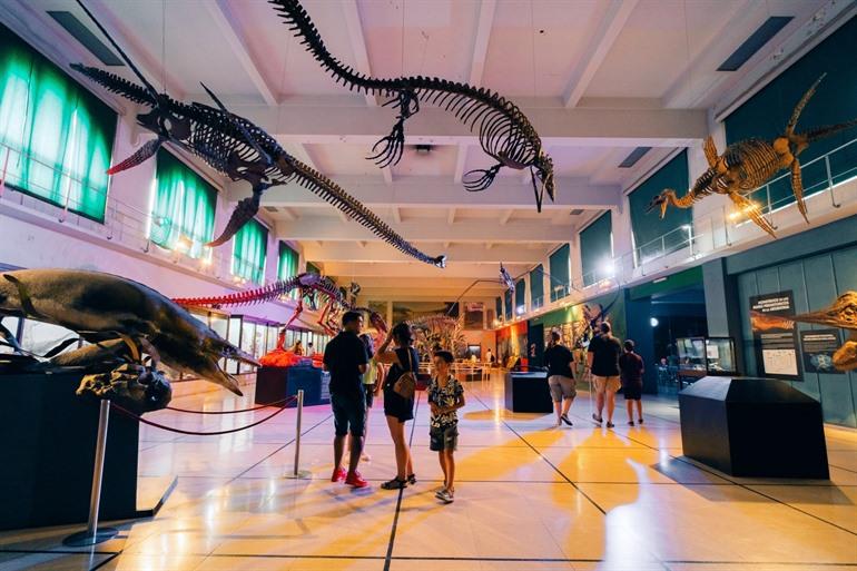 Bezoek het natuurhistorische museum