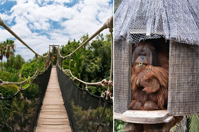 Bezoek Jungle Park in Tenerife