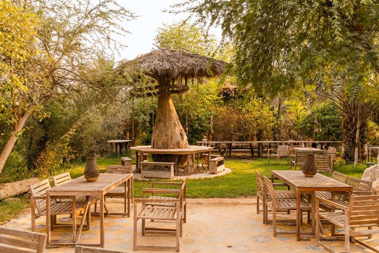 Bezoek Torba Farm en kom helemaal tot rust