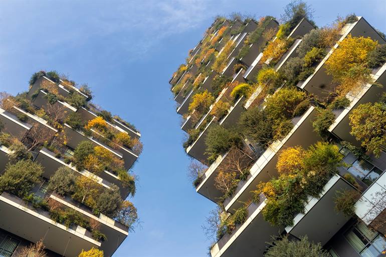 Biblioteca degli Alberi