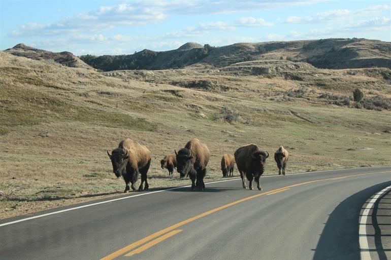Black Hills Loop - South Dakota