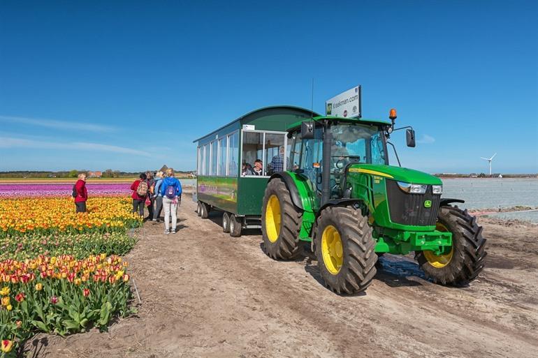 Bloembollen Zijpe BV - Noord-Holland