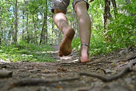 Ontdek de 11 x leukste blotevoetenpaden in België: alle info & tips