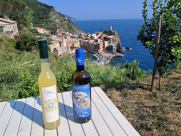 Boek deze Citroentour met limoncino-proeverij in Vernazza