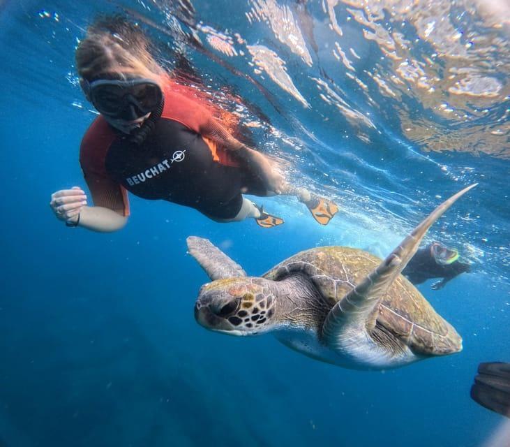 Boek hier je excursie snorkelen tussen de zeeschildpadden op Tenerife