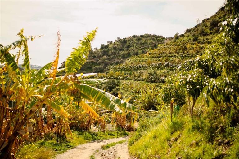 Boek je rondleiding door La Herradura Coffee Farm
