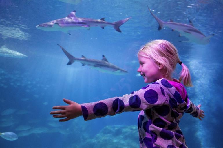 Boek je tickets voor een dagje SEA LIFE Oberhausen