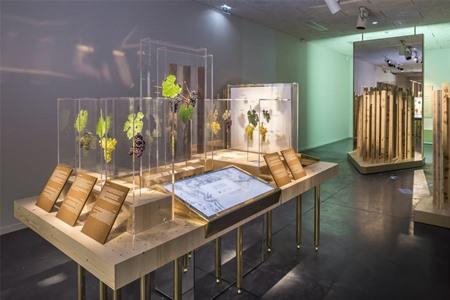 Boek je toegangsticket voor het Pressoria Museum + proeverijen