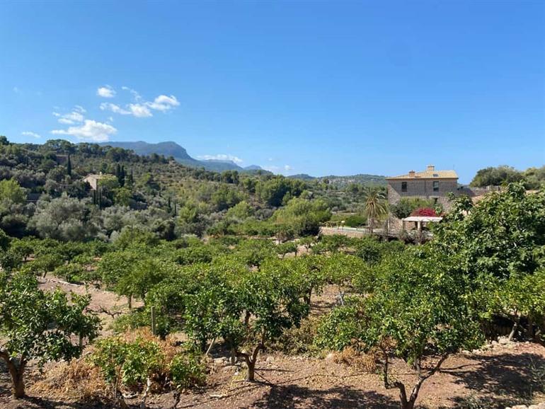 Boek je wandeling van de Sinaasappelvallei naar de haven
